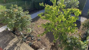 Een tuin met verschillende planten en een houten terras.