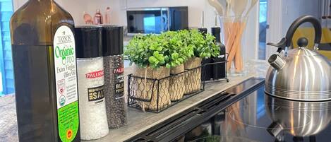 A kitchen with a bottle of organic extra virgin olive oil, a salt shaker, and a tray of herbs on the counter.