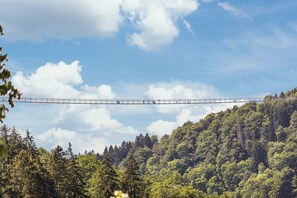 Miscellaneous - Apartment 'Ferienwohnung am Golfplatz' Fewo A with Mountain View, Balcony and Wi-Fi (Willingen)