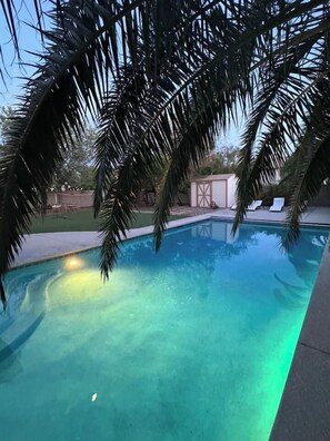 A clear swimming pool surrounded by palm trees and a small shed.