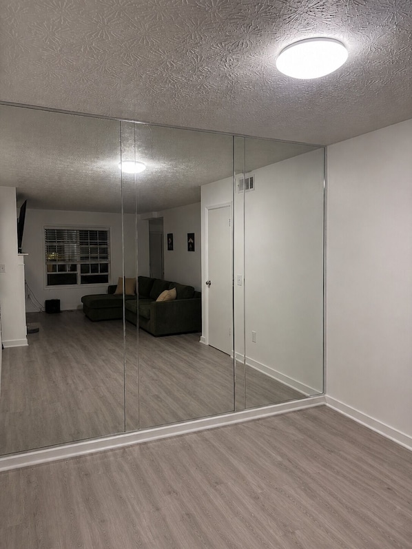 A room with a mirrored closet, a gray sofa, a window with blinds, and a ceiling light.