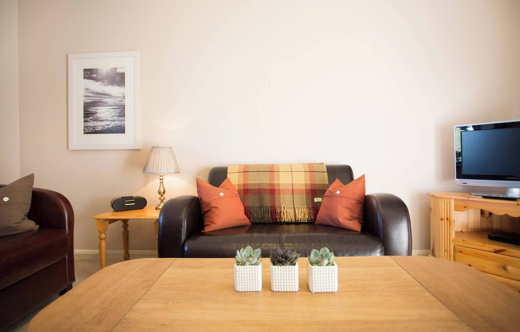 A living room with a sofa, a table with potted plants, a lamp, a television, and a framed picture on the wall.