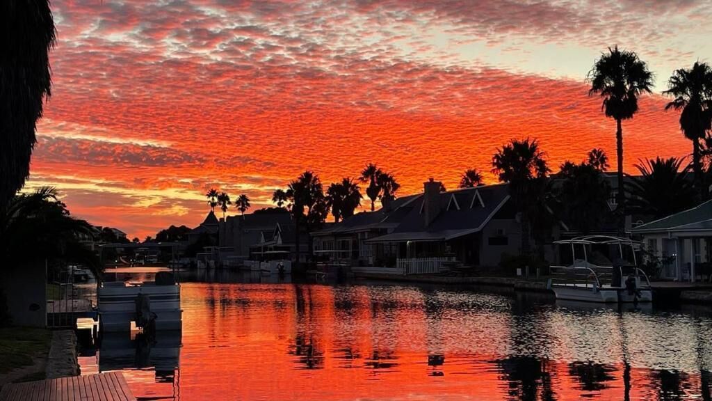A waterfront property with a dock, houses, and palm trees.