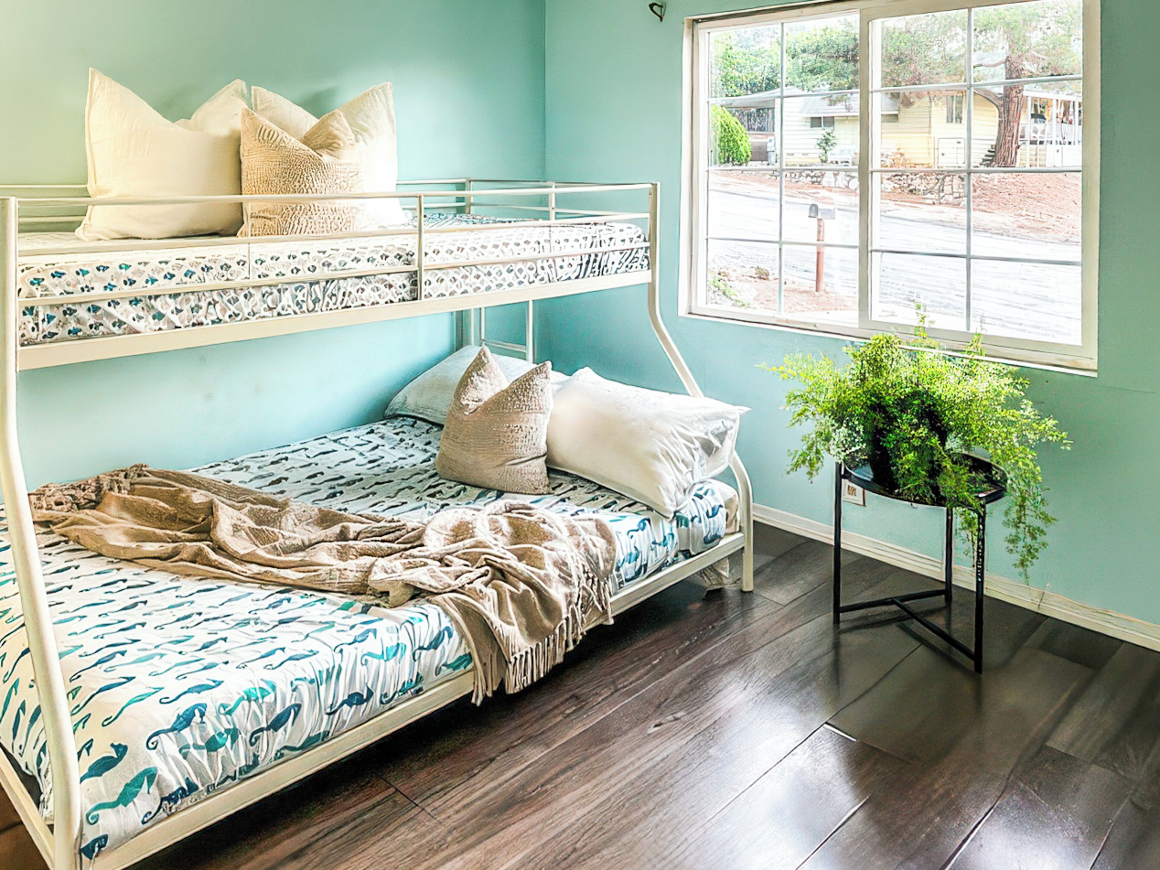 A bunk bed room with a window, a potted plant, and a view of the outside.