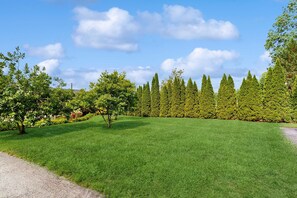 Ein gepflegter Rasen mit verschiedenen Bäumen und blauem Himmel.