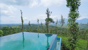 A rectangular infinity pool with clear blue water, surrounded by lush greenery and trees. - Mihra Mist (Mananthavady)