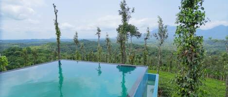 A rectangular infinity pool with clear blue water, surrounded by lush greenery and trees.