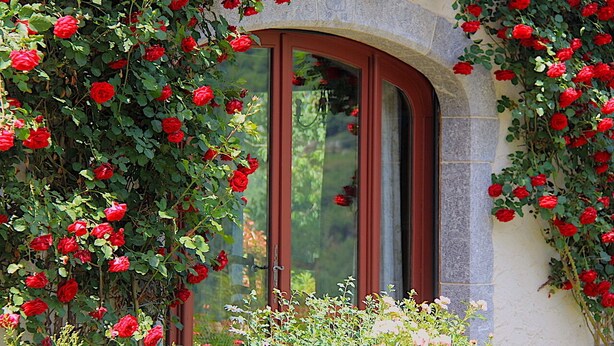 Edificio de piedra con una ventana enmarcada por rosales rojos.