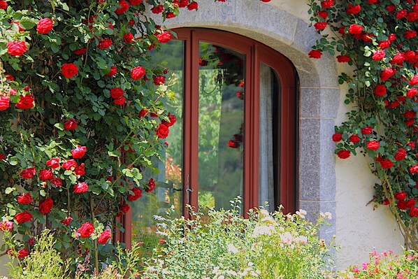 Un bĂątiment en pierre avec une fenĂȘtre encadrĂ©e de roses rouges grimpantes.
