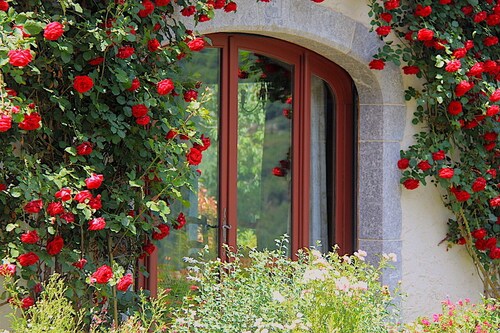 Charming gîte in Borce, view of the Pyrenees, calm and unspoilt nature.