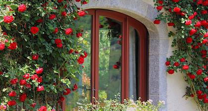 Charming gîte in Borce, view of the Pyrenees, calm and unspoilt nature.