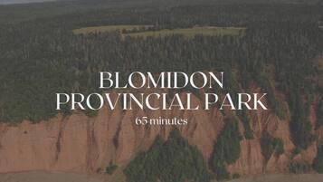 Vista de Blomidon Provincial Park, con una zona boscosa y un acantilado.