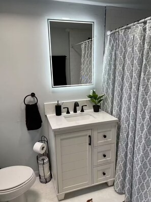 A bathroom with a white vanity, a mirror, a toilet, and a shower curtain. - Private Studio in Downtown Phoenix, 5mins from downtown, sports games, airport! (Phoenix)