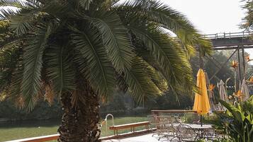 Una palmera, asientos al aire libre y un puente al fondo.