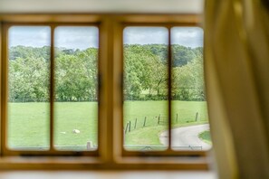 Una ventana con vista a un campo verde y una carretera.