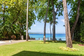 Ein üppiger Garten mit Palmen, einer grünen Rasenfläche und Blick auf das Meer.