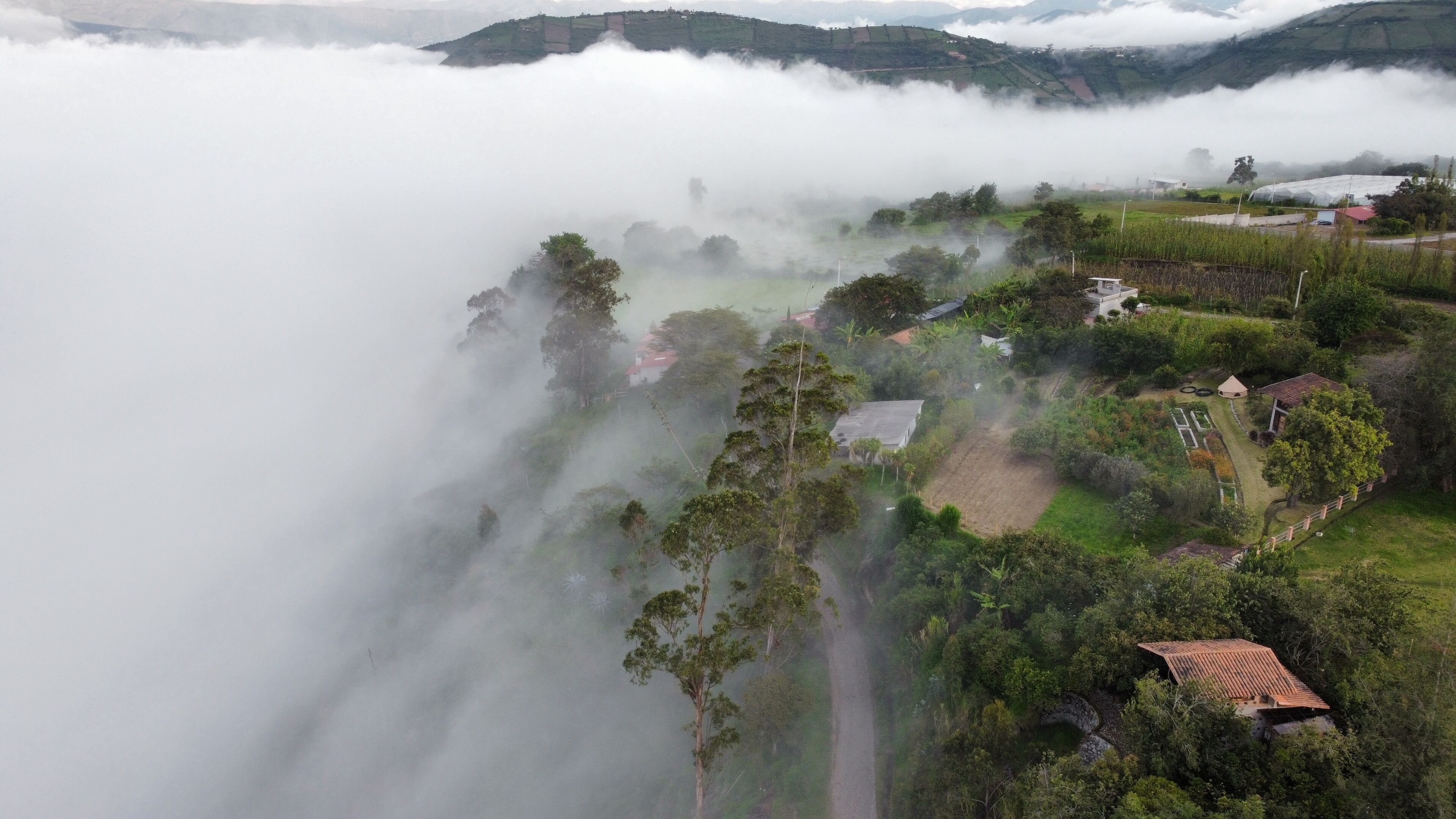 A rural landscape with houses, a road, and a valley shrouded in mist.