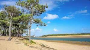 Een strand met bomen en een heldere lucht.