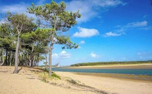 A beach with trees and a clear sky. - Le cosy du Green - free pool & golf (Talmont-Saint-Hilaire)