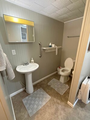 Ein Badezimmer mit einem Standwaschbecken, einer Toilette, einem Spiegel und einer Duschkabine.