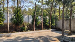 Property grounds - 3 Seasons Homestay (Chikkamagaluru)