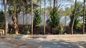 Property grounds - 3 Seasons Homestay (Chikkamagaluru)