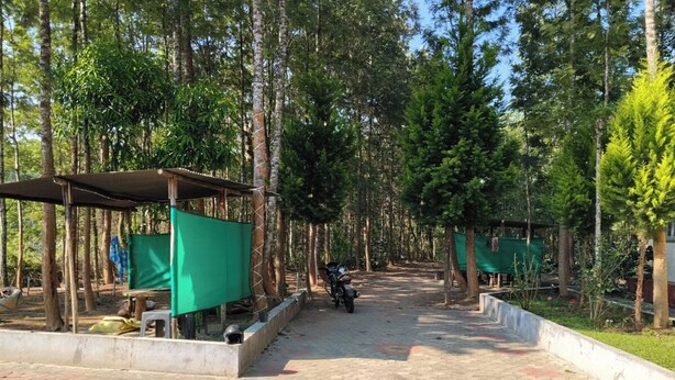 Terrace/patio - 3 Seasons Homestay (Chikkamagaluru)