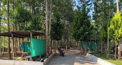 3 Seasons Homestay