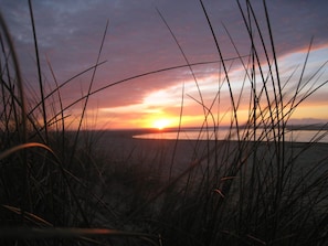 A sunset over a body of water with grass in the foreground. - Charming, quiet family home for golf, beach and nature lovers (Moliets-et-Maa)
