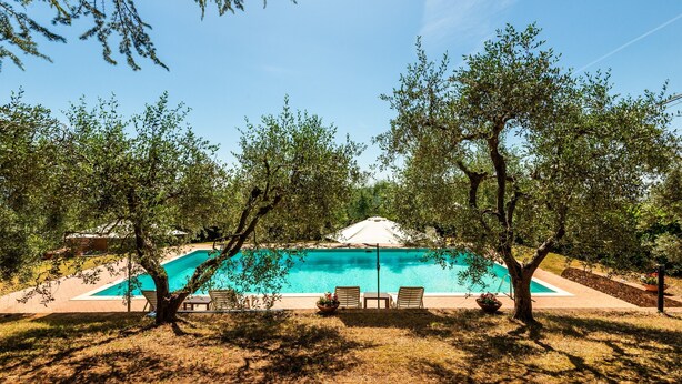 A swimming pool with lounge chairs and a covered area, surrounded by trees.