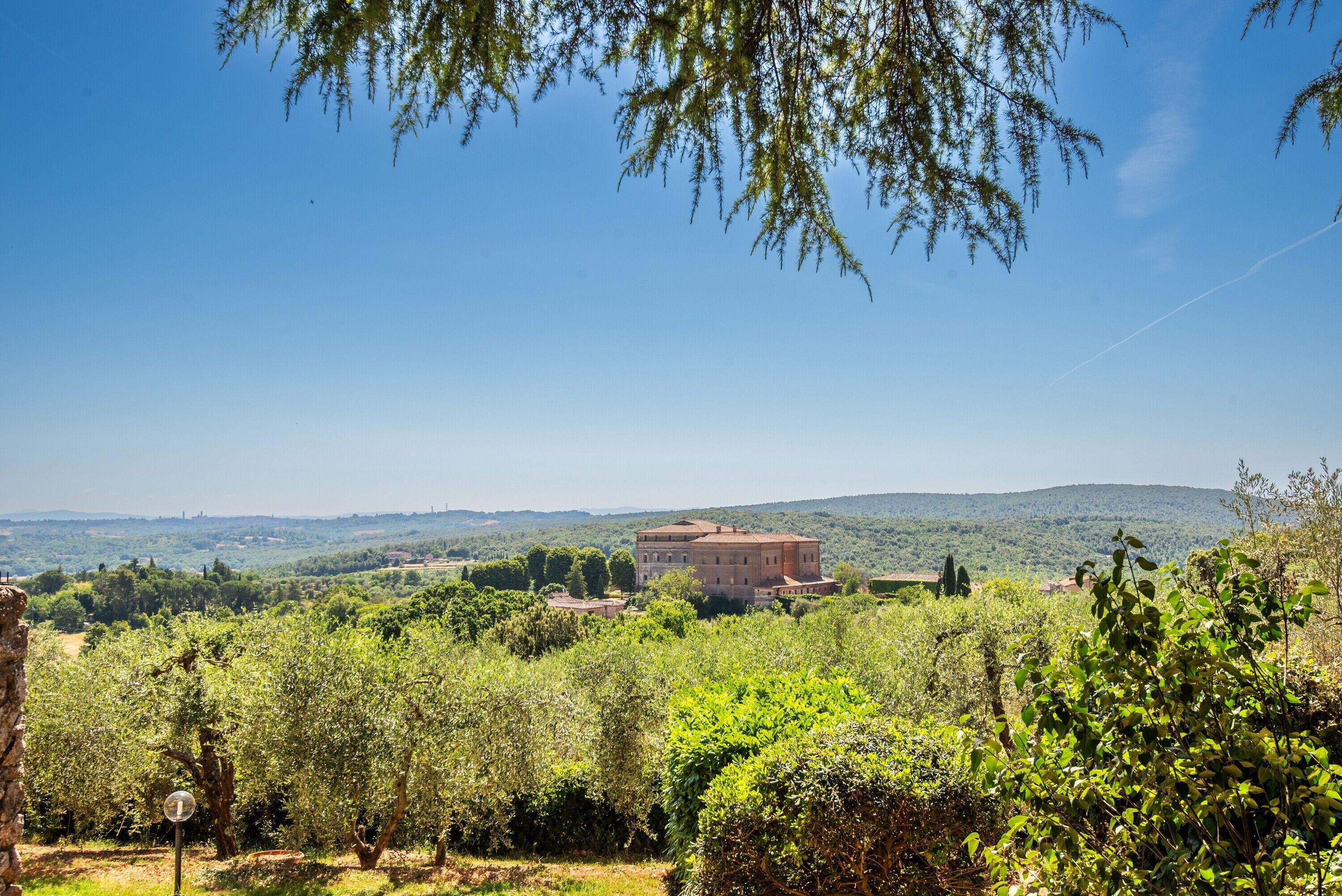 A rural landscape with a large building surrounded by olive trees and greenery.