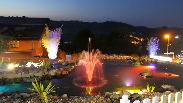 A nighttime outdoor area with a water feature, illuminated plants, and a building in the background.