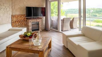 TV, fireplace, DVD player, stereo