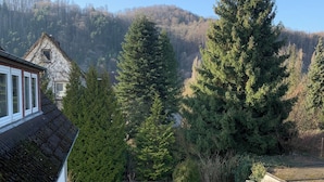 A residential area with a house, a large coniferous tree, and a grassy yard. - Vacation apartment/ accommodation for 5-6 persons in Bodenwerder (Bodenwerder)