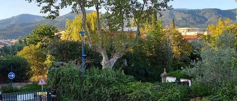 Overnatningsstedets område