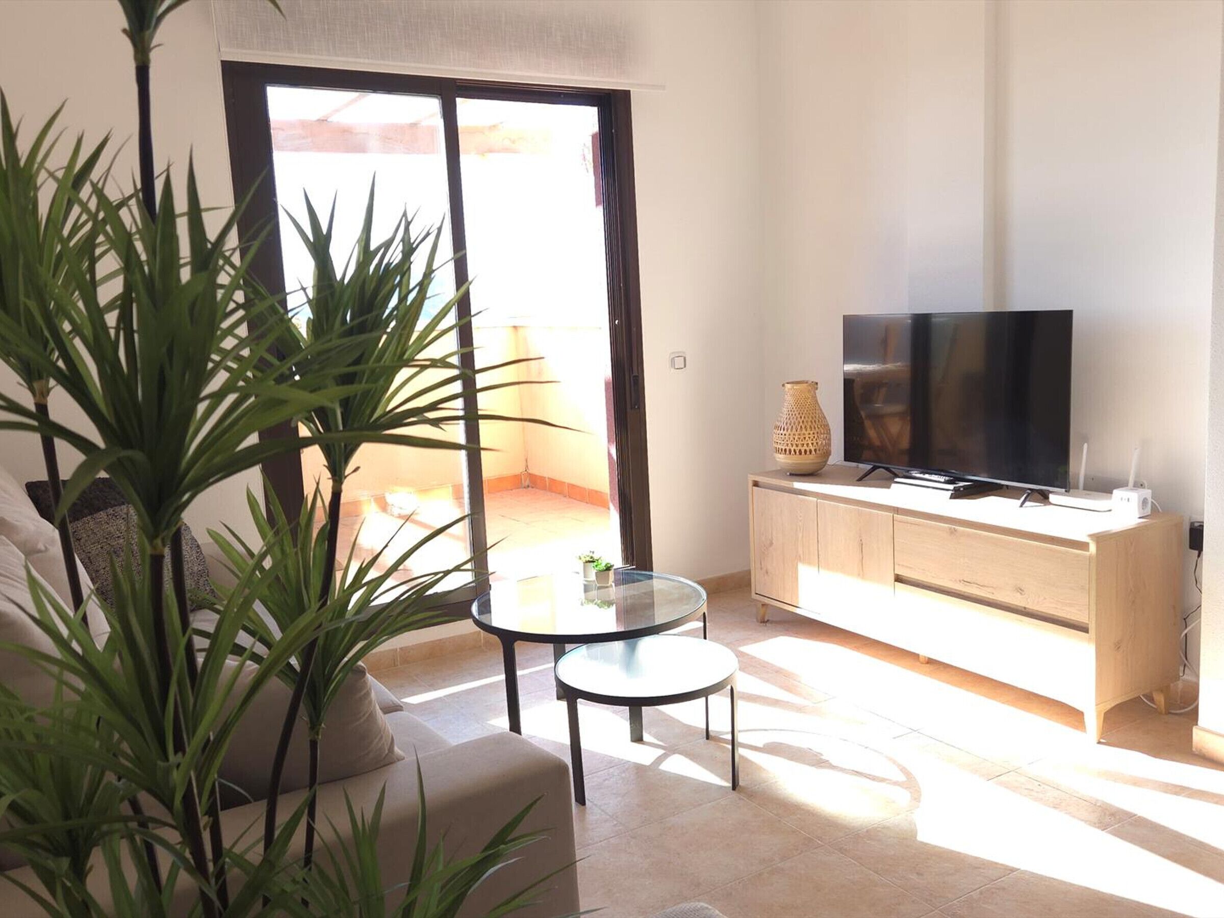 A living room with a sofa, a coffee table, a TV on a wooden cabinet, and a large plant.