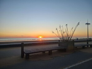 Un banc et un jardinier, au bord de la mer, au coucher du soleil.