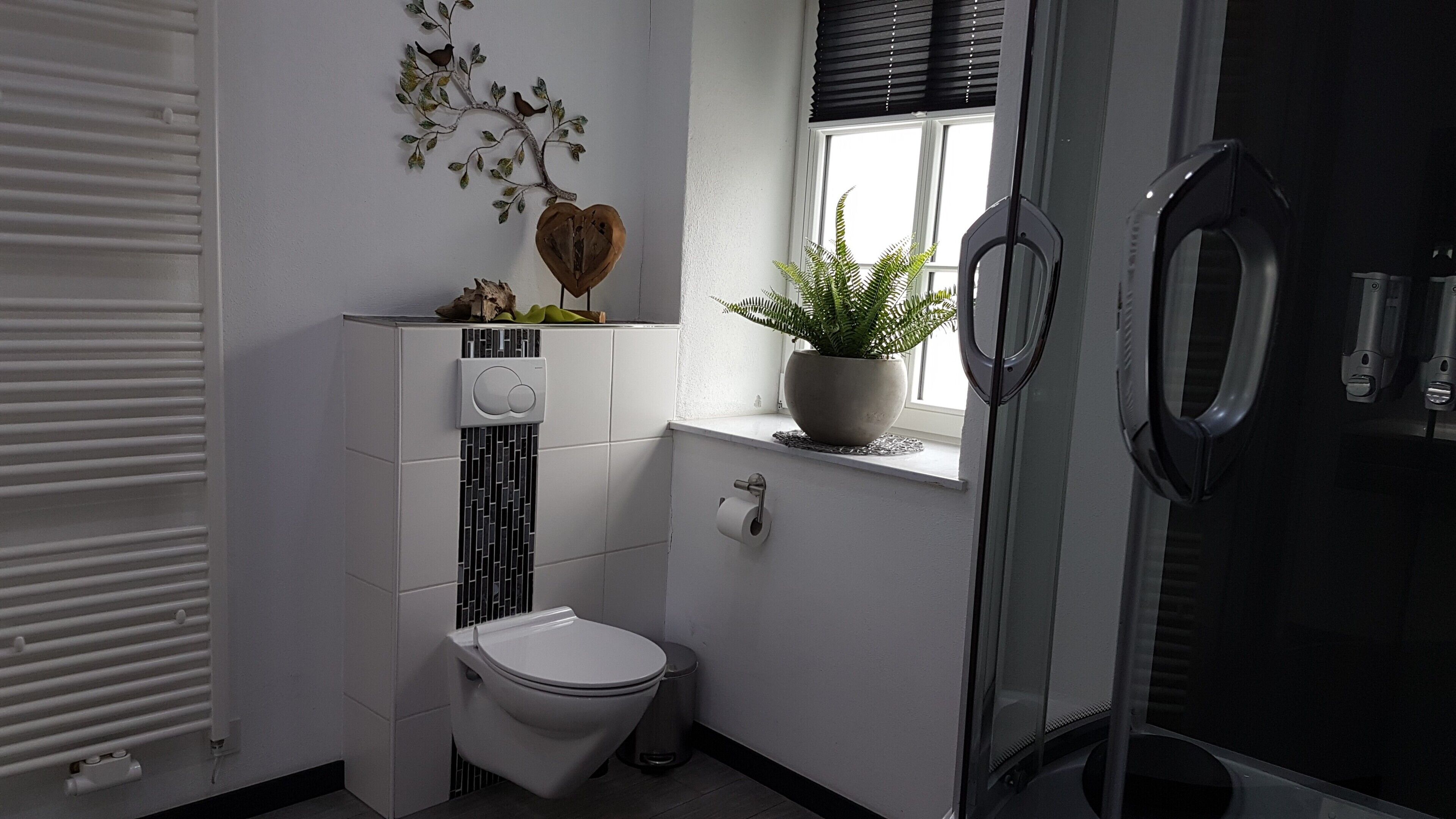 Un bagno con il water, una doccia, un termosifone, una finestra con una pianta e un elemento decorativo a parete.