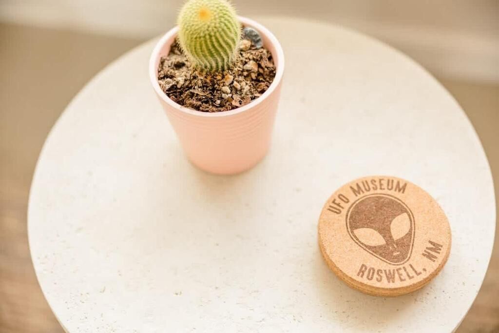 Un petit cactus dans un pot rose, posé sur une table ronde.