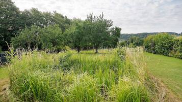 A grassy field with trees and a clear sky.