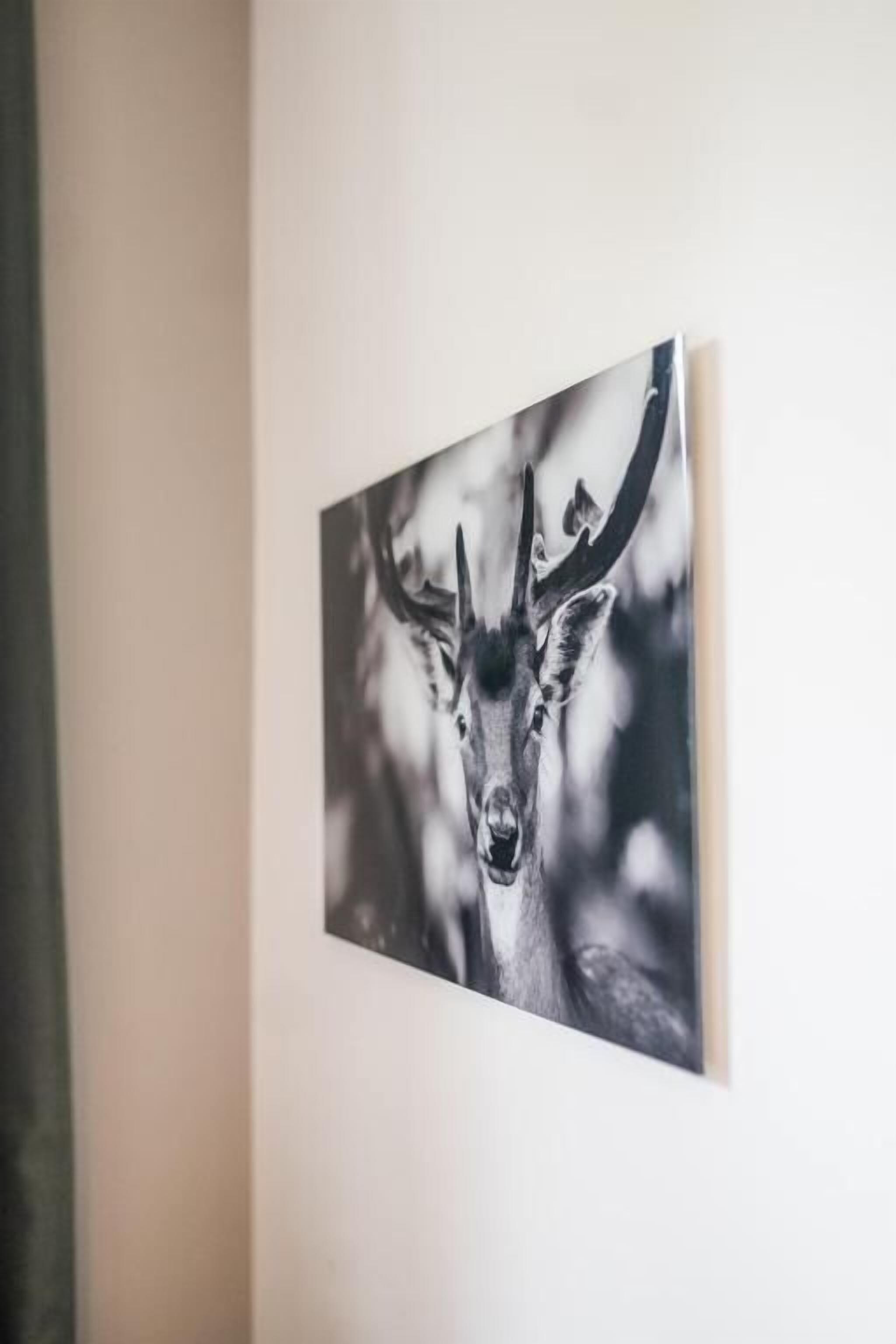 Ein gerahmtes Bild eines Rehs an einer Wand.