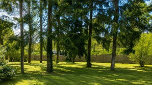 Een gazon met bomen en een houten omheining.