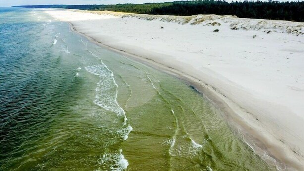 Une plage à l’eau claire, avec un rivage sablonneux et une zone boisée en arrière-plan.