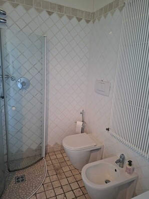 A bathroom with a shower, toilet, bidet, and sink.