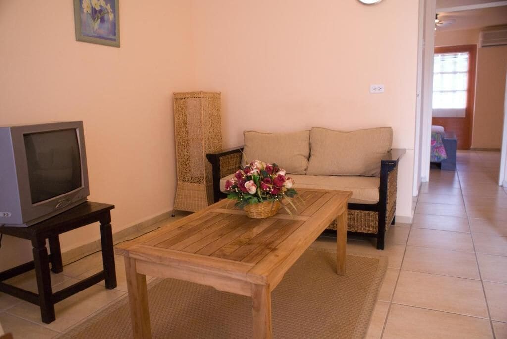 Un salon avec un téléviseur posé sur un meuble, une table basse en bois, un canapé et un fauteuil en osier.