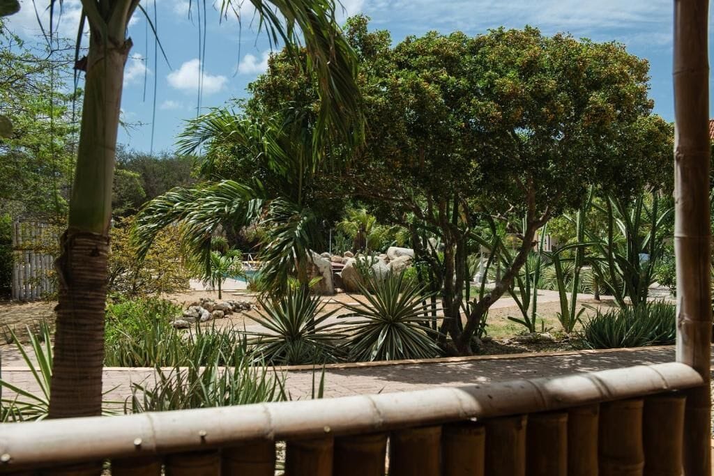 A garden with various plants and trees, a stone pathway, and a bamboo fence.