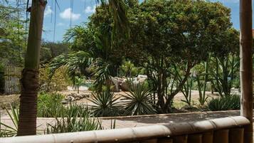 A garden with various plants and trees, a stone pathway, and a bamboo fence.