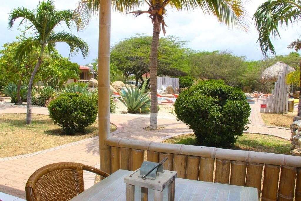 A patio area with a table, chairs, and a small metal device, surrounded by tropical plants and a pathway.