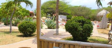 A patio area with a table, chairs, and a small metal device, surrounded by tropical plants and a pathway.