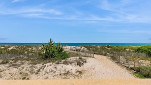 Ein sandiger Strand mit Holzzaun, spärlicher Vegetation und blauem Himmel.